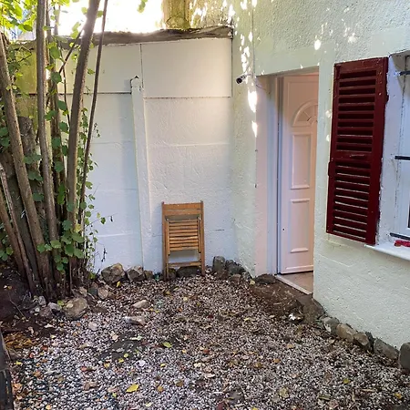 Au Centre Avec Mini Jardin Charmante